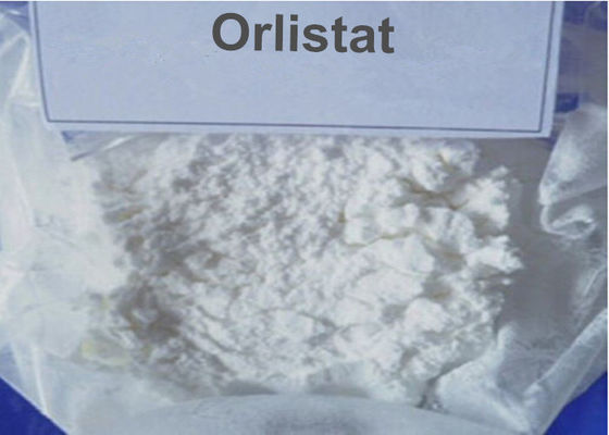 No Side Effects Orlistat Weight Loss / Fat Loss Powder For Men 96829-58-2