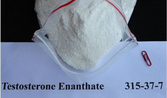 Steroids Testosterone Enanthate Dianabol Primobolan Masteron Powder for Bodybuilding CAS 315-37-7