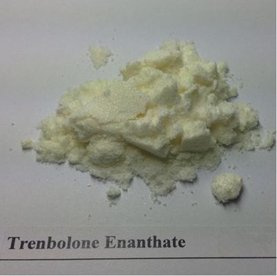 99% Purity Steroids Raw Powder Trenbolone Enanthate for Muscle Gaining CAS 10161-33-8